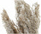 Decoratieve plant DKD Home Decor Veren PVC Vezel (35 x 25 x 55 cm) (2 Stuks)