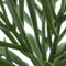 Nova nature - Aeonium pick dk green 23 cm kunstbloem