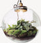 Growing Concepts DIY Duurzaam Ecosysteem Demeter lamp - H38xØ37cm