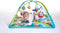 Tiny Love - Babygym Gymini Sunny Days - Meadow Days - Vanaf de geboorte tot 1 jaar oud