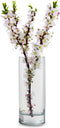 Jodeco Bloemenvaas Chelsea - helder transparant - glas - 12,5 x 30 cm - cilinder vaas
