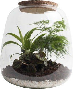 Ecosysteem ‘Green feathers’ met verlichting - Broekhof Adding Value - Groene plant- Hoogte 25 cm