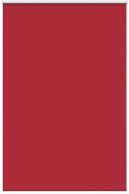 vidaXL - Rolgordijn - verduisterend - 155x210 - cm - stofbreedte - 151,6 - cm