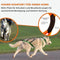 Hond gewicht trekken harnas voor Canicross, hond sport, fiets Joring, Ski Joring, Slee, Mushing, Run