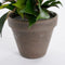 Mica Decorations groene ficus kunstplant - 40 cm - Kunstplanten voor binnen