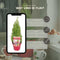 Plants by Frank | Geurende Rozemarijn struik | 15 cm Ø | 40-50 cm ↨ | Rozemarijn plant | Winterharde Tuinplant | Geurhaag | planten | Rosmarinus officinalis