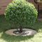 vidaXL - Plantenring - Ø30/60 - cm - RVS