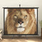 vidaXL - Projectiescherm - 1:1 - 89''