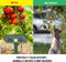 Solar Ultrasone Animal Repeller Ultrasone Animal Repeller Pet Repellent en Solar Waterproof Cat Repeller Ultrasoon met 2 luidsprekers voor katten
