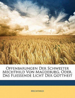 Mechthild Von Magdeburg - Offenbarungen - Paperback - 324 pagina's