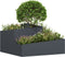 vidaXL - Plantenbak - Antraciet - 80x80x50 - cm - Koudgewalst - Staal