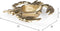 Bold Monkey It's A Crab - Schaaltje - Goudkleurig