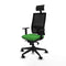 Bureaustoel met hoofdsteun Piqueras y Crespo 1D066N1 Groen