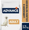 Advance Adult Labrador Retriever