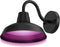 Calex Smart Outdoor LED Buitenlamp - Slimme Wandlamp Klassiek - RGB en Warm Wit Licht - 4W - Zwart