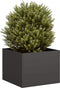 vidaXL - Plantenbak - 40x40x30 - cm - staal - zwart