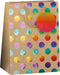 Papieren cadeau tas M - Kraft Rainbow - 175 x 100 x 229 mm
