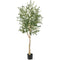 Coast Kunstmatige Olijfboom - 182 cm - 1296 Bladeren - Cementpot