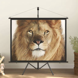 vidaXL - Projectiescherm - met - statief - 4:3 - 60''