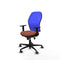 Piqueras y Crespo 1D036G0 - Bureaustoel - Verstelbare hoogte met armleuning - Blauw Bruin