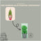Plants by Frank | Geurende Rozemarijn struik | 15 cm Ø | 40-50 cm ↨ | Rozemarijn plant | Winterharde Tuinplant | Geurhaag | planten | Rosmarinus officinalis