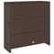 vidaXL - Opbergkast - Bruin - 100x36x102 - cm - Rattan