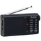 Qubo RS-2 - Transitorradio - Ingebouwde Speaker LCD-scherm - Zwart
