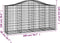 vidaXL - Schanskorven - 2 - st - gewelfd - 200x50x100/120 - cm - ijzer