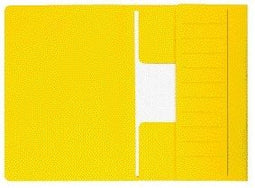 Djois - Dossiermap djois mamm folio 250gr recy gl | 50 stuks