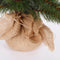 Triumph Tree Forest Frosted - Kunstkerstboom - H90 x Ø62 cm - Groen