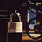 MasterLock 150EURD - Hangsloten - 50mm - O7mm - Gelijksluitend (set van 4)