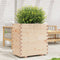 vidaXL - Plantenbak - 70x40x72,5 - cm - massief - grenenhout