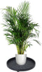 Pro Garden Plantentrolley - Rond - D35 cm - 50 kg - Donkergrijs