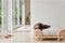 OYOY Otto Hondenmand Medium - Rotan - H30 x L69 x B55 cm