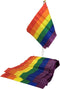 LGBT+ Pride Pennant Small 30 cm