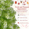 Coast - Kunstkerstboom 50 x 180 cm - Verlichting 120 LED - Sneeuwbedekking