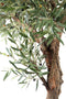 PTMD Kunstplant Olijf - 120x120x210 cm - Polyester - Groen