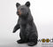 Zwarte beer staand h40 cm Farmwood AnimalsFarmwood Animals