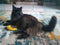 Yeowww! Banaan Kicker - Catnip Kattenkruid Speeltje voor Katten - Geel - 18 cm