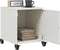 vidaXL - Nachtkastjes - 2 - st - 36x39x43,5 - cm - staal - wit