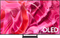 Samsung OLED QD S90C - Ultra HD TV - 65