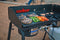 Camp Chef Explorer Stover