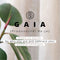 Selencia Hoesje Geschikt voor Samsung Galaxy S10 Hoesje - Selencia Gaia Slang Backcover - Donkerrood
