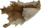 HSM Collection - Geitenhuid medium - assorti - ±90x60cm