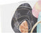 Schilderij DKD Home Decor Modern (40 x 1,8 x 40 cm) (3 Stuks) (12 Stuks)