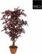Mica Decorations japanse esdoorn maat in cm: 150 x 80 rood in pot
