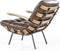Goossens Bastiaan fauteuil Leer