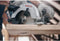 Bosch PRO Wood cordless - Cirkelzaagblad 165 mm - Lange levensduur - 48 tanden