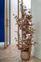 Mica Decorations Eucalyptus - Kunstplant - H180 x Ø80 cm - Brons
