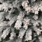 Black Box Trees Chandler Kunstkerstboom - 147x147x260 cm - PVC - Groen